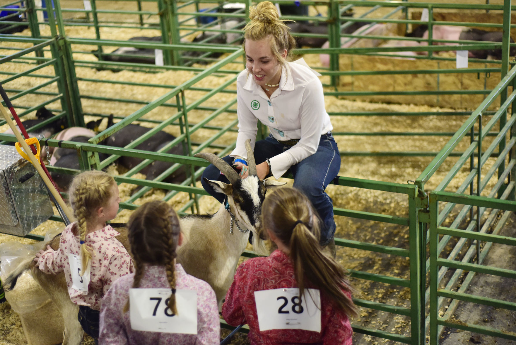 4-H Goat Show